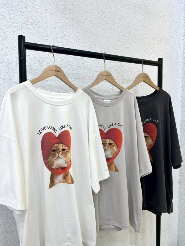 愛心頭套貓貓大踢 