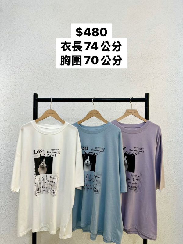 遺失牛奶貓貓大踢 