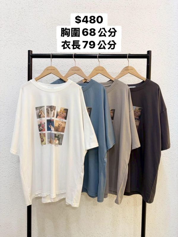 搞怪貓咪方格大踢 