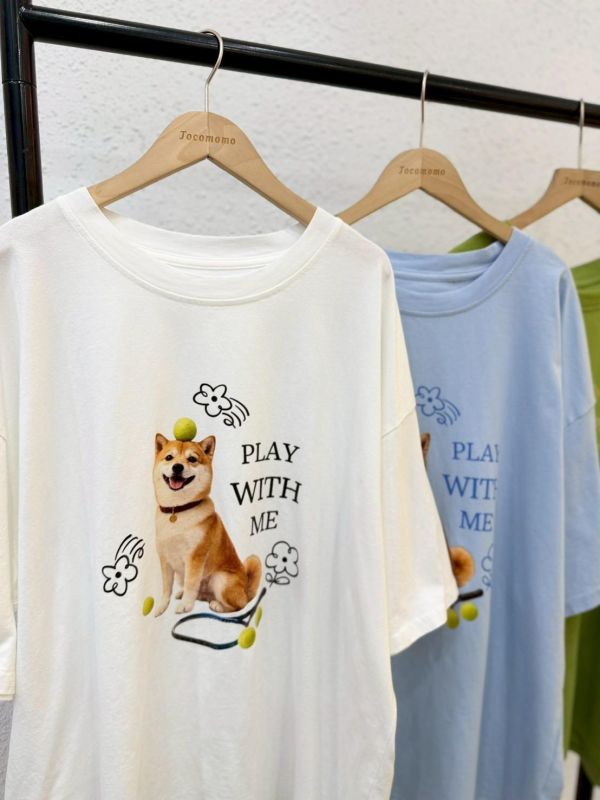 可愛柴犬網球大踢 