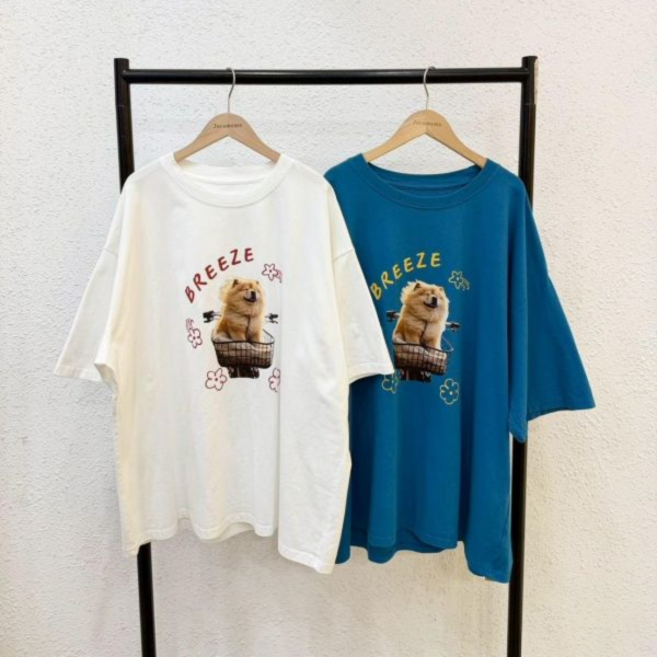 夏日微風狗狗大踢 