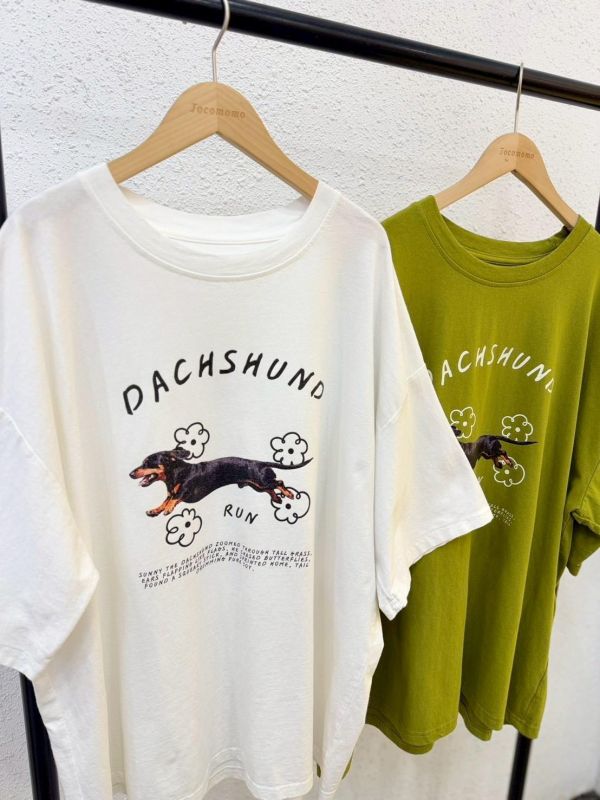 小花臘腸狗大踢 