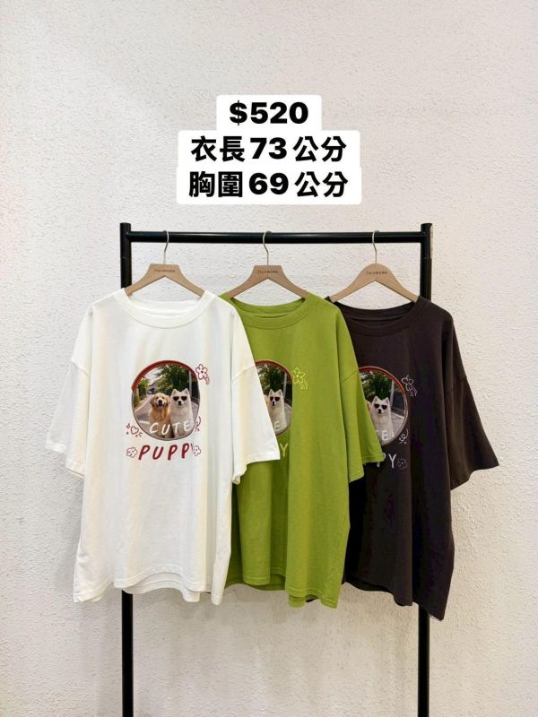 套裝T17 