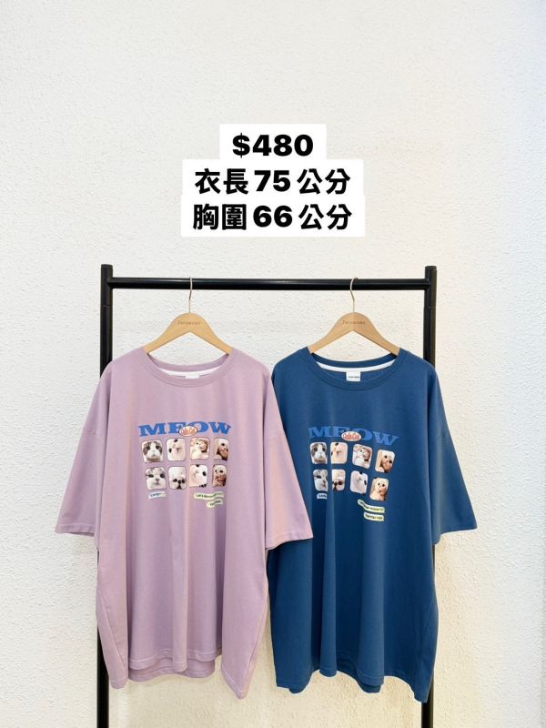 貓貓大臉照大踢 