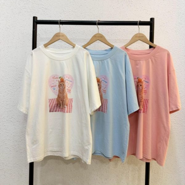 愛心橘子貓貓大踢 