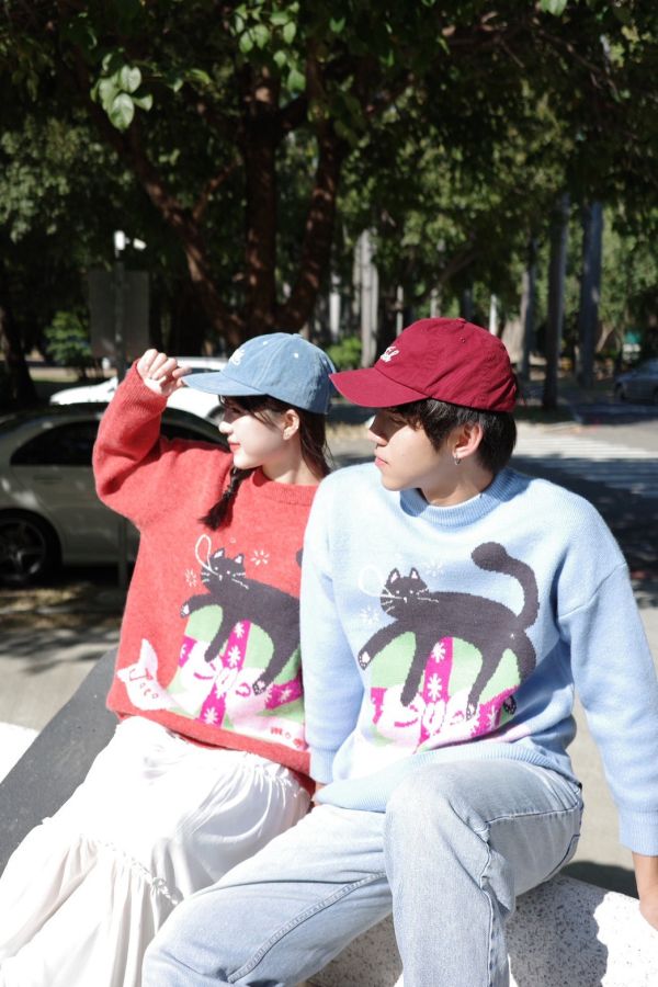 自訂款-黑貓打瞌睡毛衣 