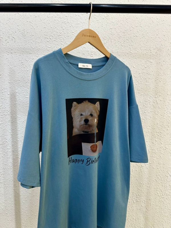 生日狗狗大踢 