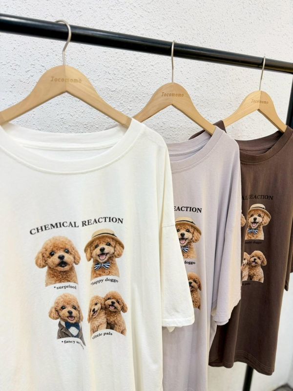 貴賓狗好朋友大踢 