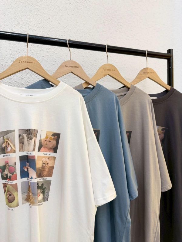 搞怪貓咪方格大踢 