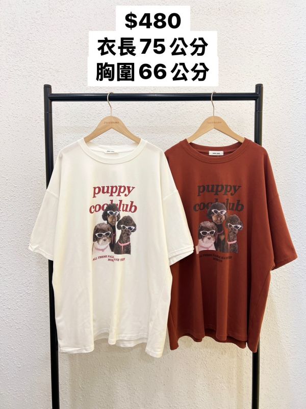 墨鏡酷狗狗聚會大踢 
