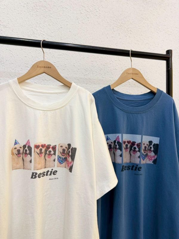 派對小狗好友大踢 