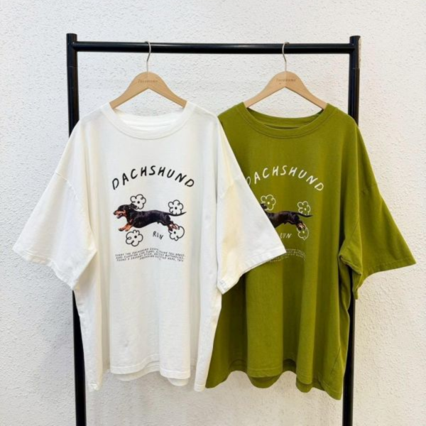 小花臘腸狗大踢 