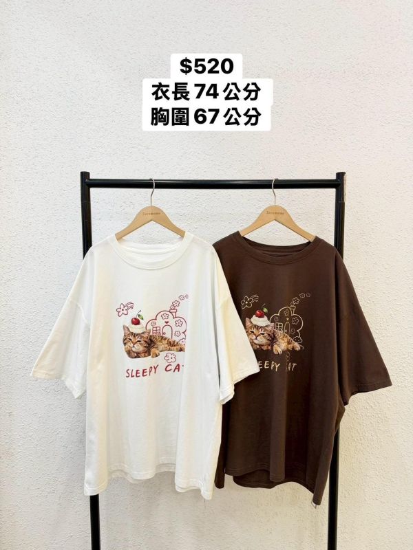 慵懶小貓花花大踢 