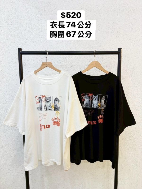 拼貼驚訝小貓大踢 