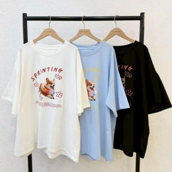 花花柯基衝刺大踢 