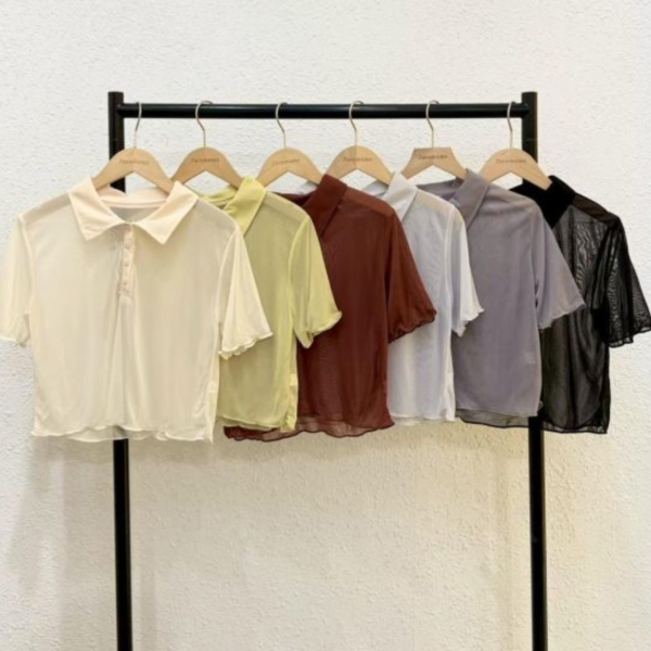 翻領透透短袖上衣 