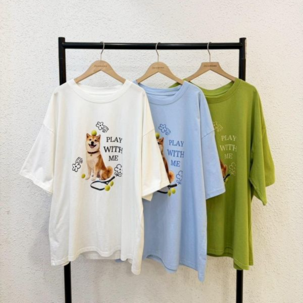 可愛柴犬網球大踢 