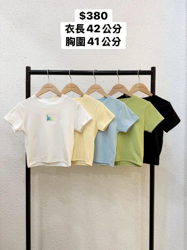 自訂款-漂亮恐龍刺繡圓領上衣 (MIT) 