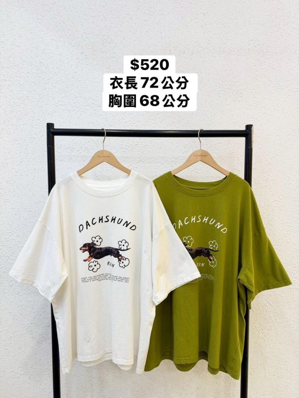 小花臘腸狗大踢 