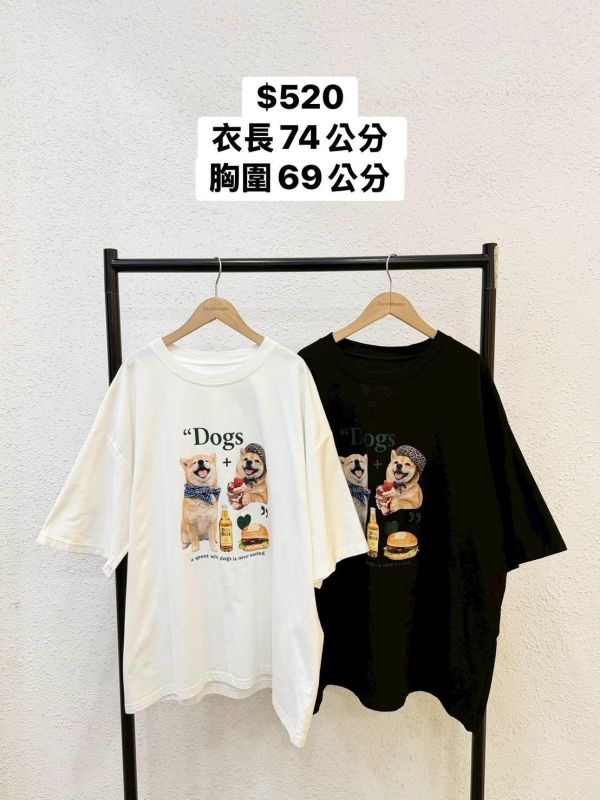 柴犬甜點時光大踢 