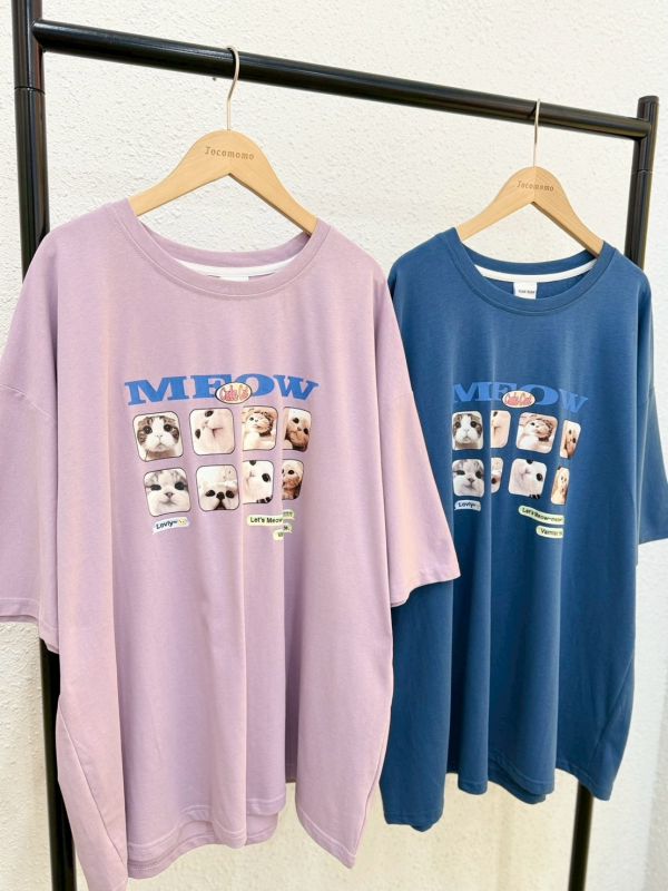 貓貓大臉照大踢 