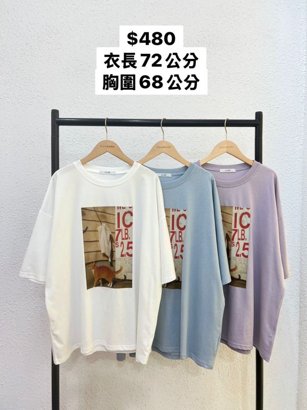 貓貓攝影照片大踢 