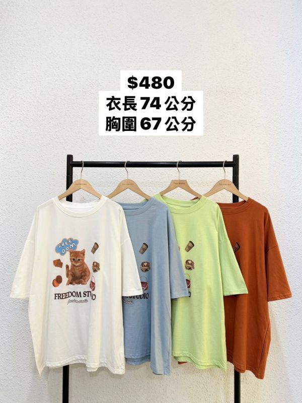 自由小貓大踢 