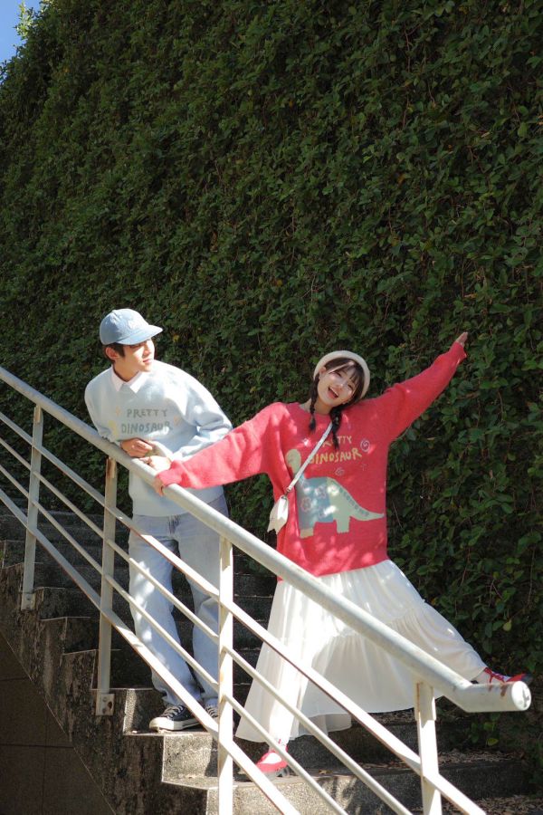 自訂款-漂亮恐龍毛衣 