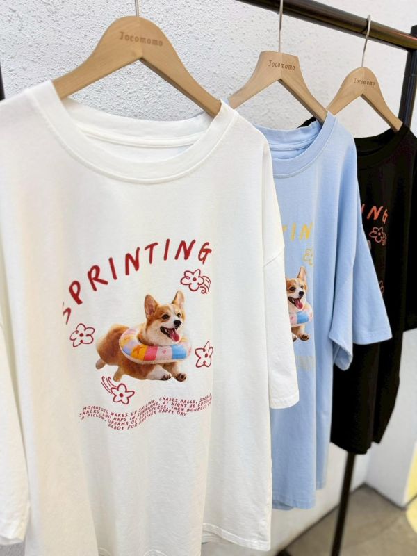 花花柯基衝刺大踢 