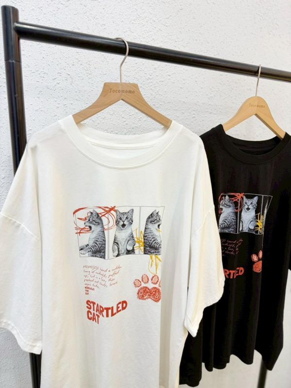 拼貼驚訝小貓大踢 