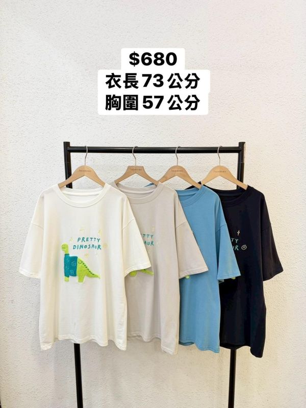 自訂款-漂亮恐龍刺繡大踢 