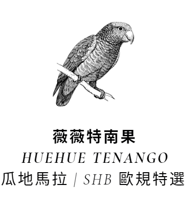 2024 | 瓜地馬拉 | 薇薇特南果 | SHB 歐規特選 