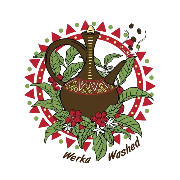 衣索比亞 神燈 | 沃卡 | 香妃 | G1 | 水洗 