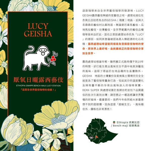 2025 厭氧日曬露西藝伎 | 衣索比亞 | 班奇馬吉 | 露西處理站 | 厭氧日曬 | 頂級G1藝伎 