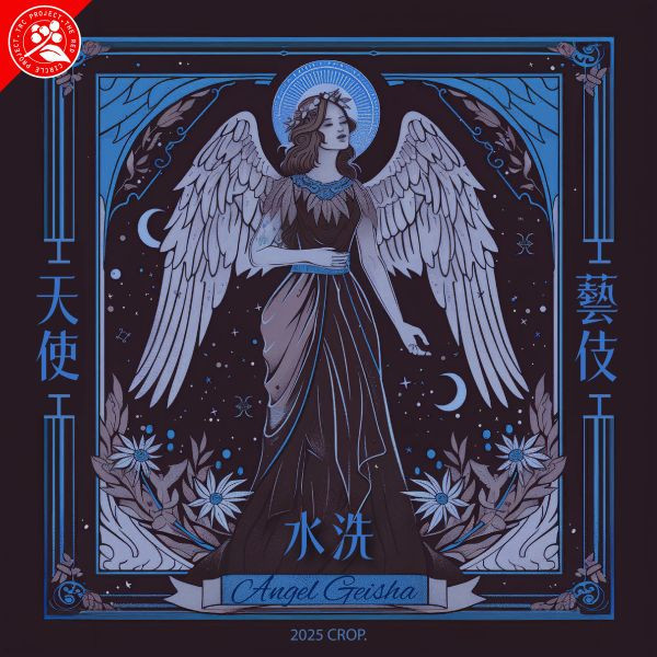 生豆區  | 2025 水洗天使藝伎 | 衣索比亞 | 耶加雪菲 | 果丁丁 | 紅圈計畫 