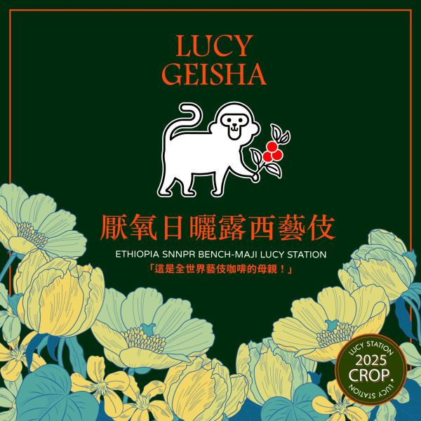 2025 厭氧日曬露西藝伎 | 衣索比亞 | 班奇馬吉 | 露西處理站 | 厭氧日曬 | 頂級G1藝伎 