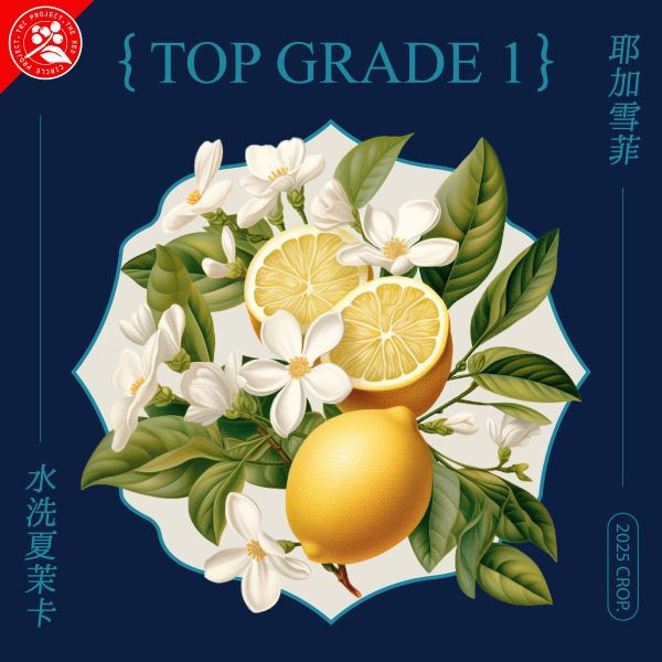 2025 水洗夏茉卡 | TOP G1 | 紅圈計畫 | 耶加雪菲 | 74110 | 水洗 | 頂級 G1 
