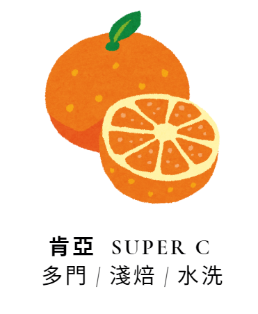 2024 | 肯亞 | 多門 | SuperC | 淺焙 