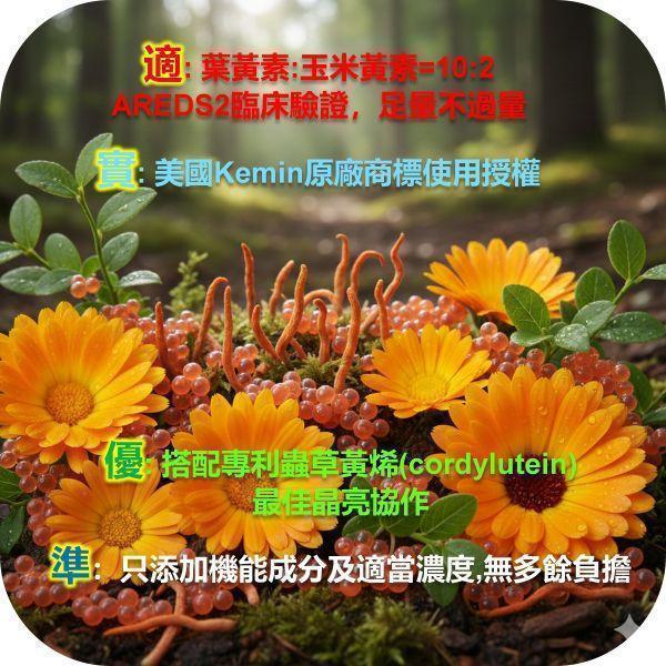 研齡 黃晶北蟲草金盞花葉黃素膠囊(十盒組) 葉黃素推薦,葉黃素怎麼吃,葉黃素評比,抗藍光吃甚麼,藍光傷害,護眼產品推薦,護眼食品,用眼過度,眼睛疲勞,視力模糊,中高齡眼睛保養,高齡食品,銀髮族,銀髮友善食品,橘世代