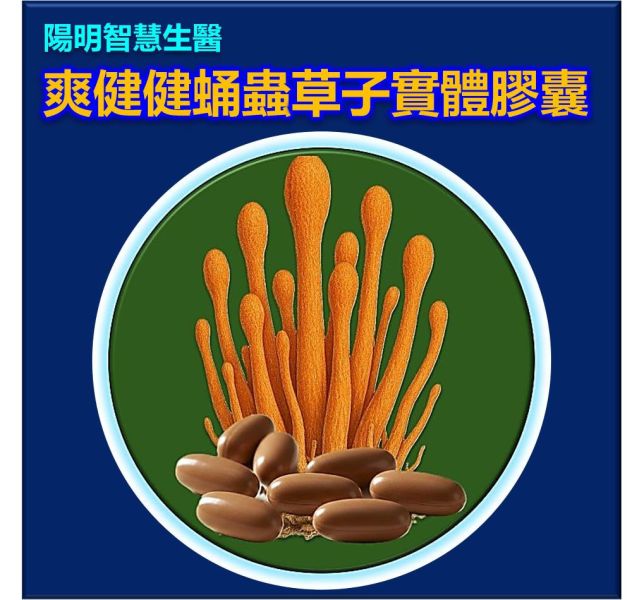爽健健蛹蟲草子實體膠囊(單盒) 解酒,壯陽的方法,壯陽藥的副作用,幫助入睡,安眠藥的副作用,恢復疲勞,慢跑,看哪一科,吃甚麼,怎麼辦,肝炎治療,化療的副作用,癌的治療,深層睡眠,安眠藥的副作用