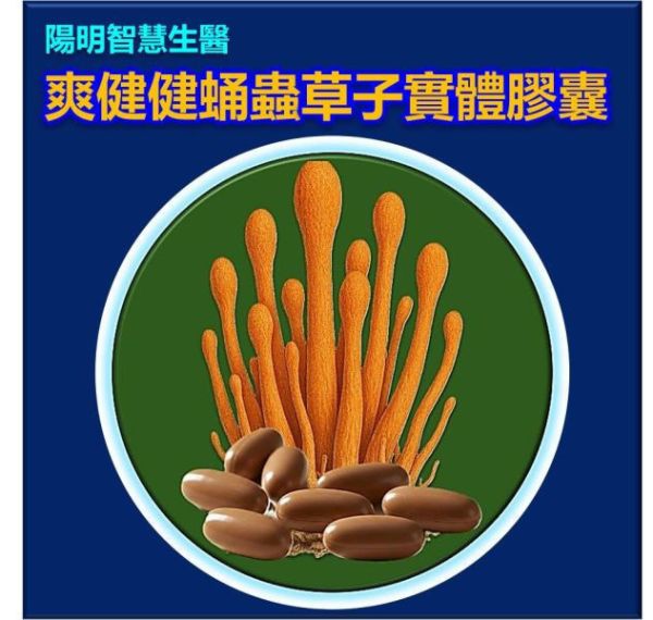 爽健健蛹蟲草子實體膠囊(買三送一) 解酒,壯陽的方法,壯陽藥的副作用,幫助入睡,安眠藥的副作用,恢復疲勞,慢跑,看哪一科,吃甚麼,怎麼辦,肝炎治療,化療的副作用,癌的治療,深層睡眠,安眠藥的副作用