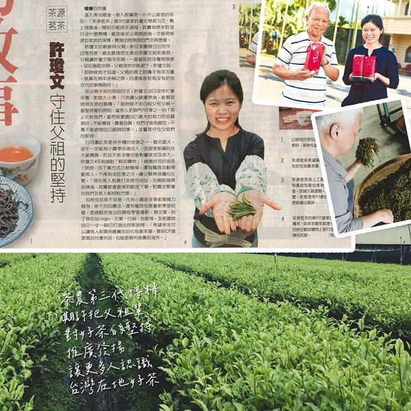 日月潭紅茶 阿薩姆芽芯茶包 50入 禮盒 附提袋 