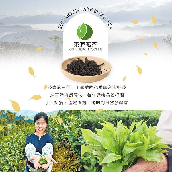 台灣原生種山茶 紅茶 150公克 提盒款 