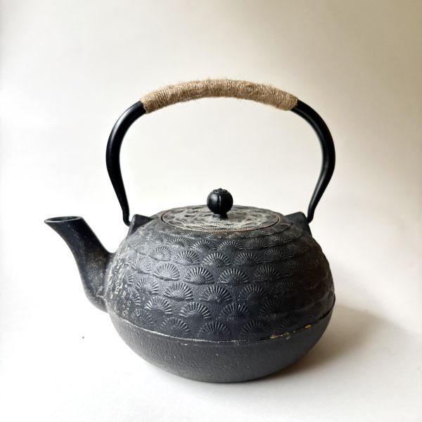 扇形龜甲紋鑄鐵茶壺 