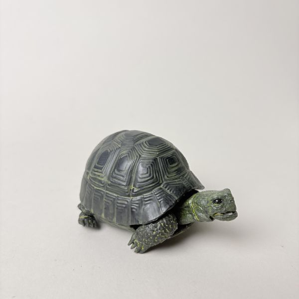 關節烏龜玩具擺飾 