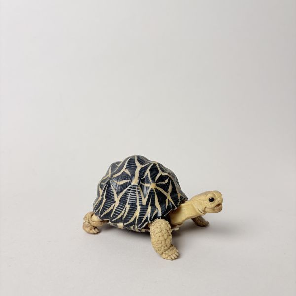 關節烏龜玩具擺飾 