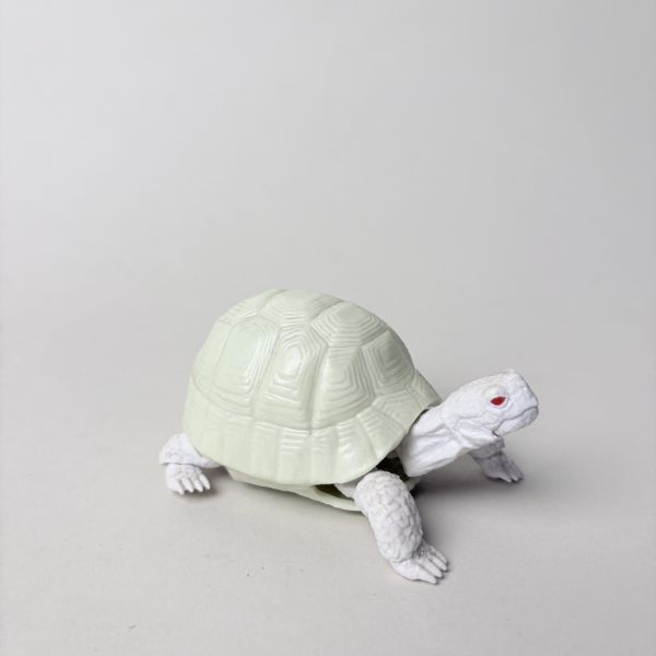 關節烏龜玩具擺飾 