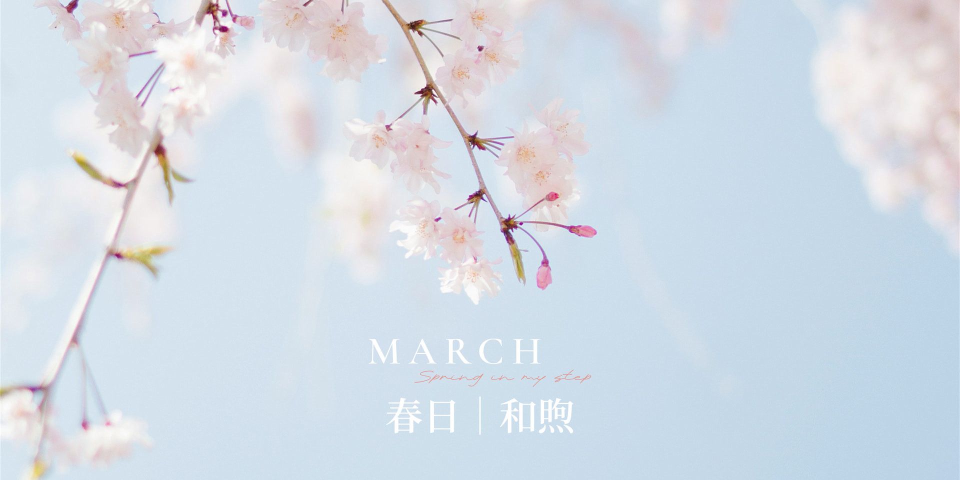 2025.3 春日和煦 - Kalos accessory | 美好所在地
