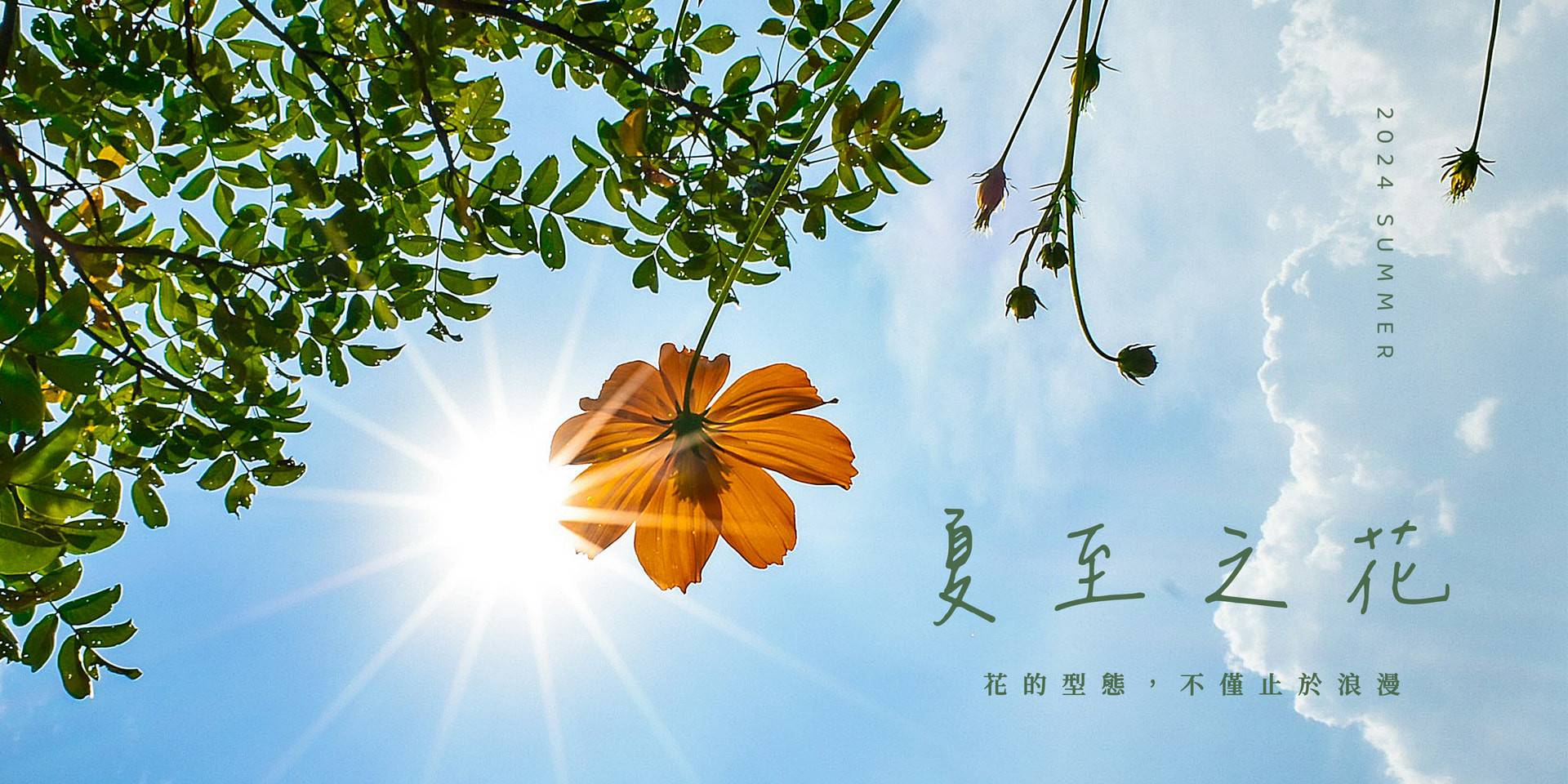 2024.7 夏至之花 - Kalos accessory | 美好所在地