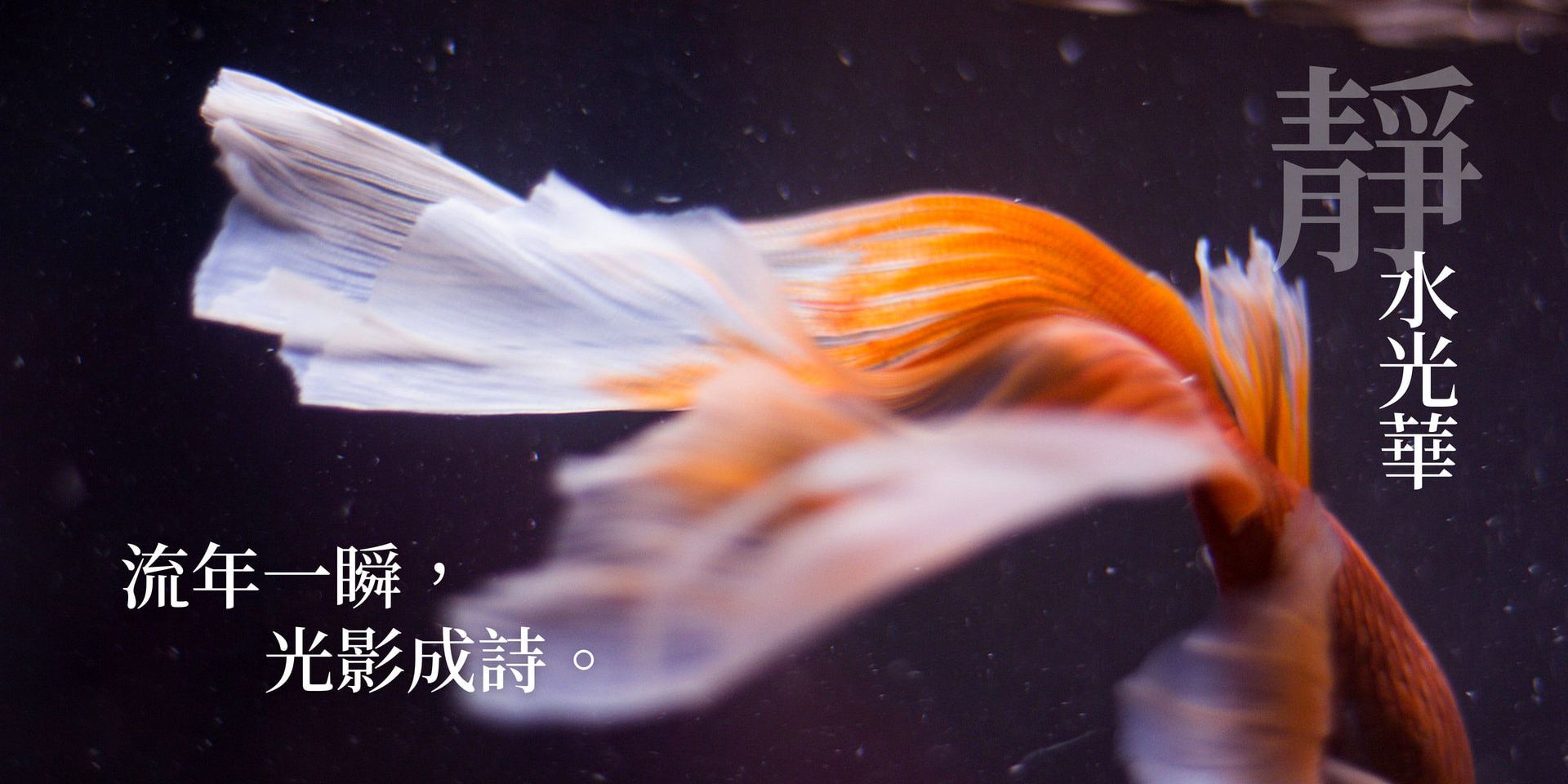 2025.6 靜水年華 - Kalos accessory | 美好所在地